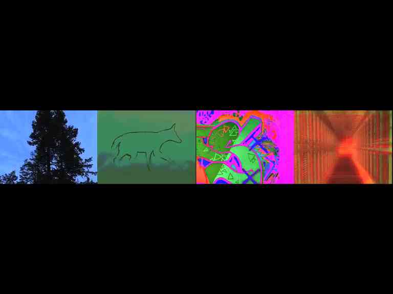 4371_Coyote X Installation 02_Web.jpg 4371_Coyote X Installation 02_Web.jpg